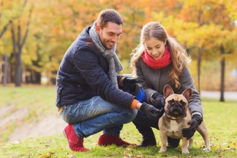 App hẹn hò mới dành riêng cho những người yêu chó