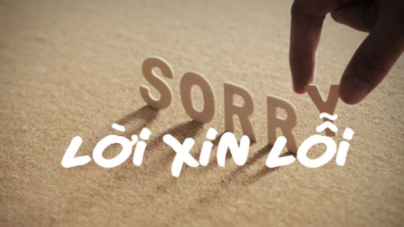Thay vì những lời hối lỗi, hãy chuyển sang biết ơn